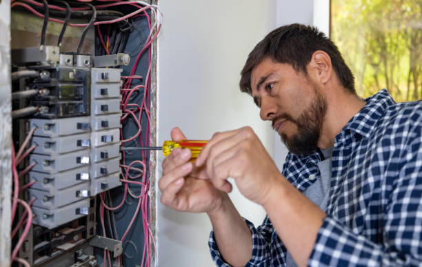 Best Electrical System Inspection  in South Haven, MI